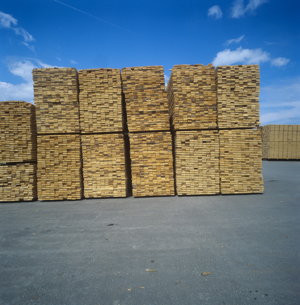 New Brunswick timber, stacked